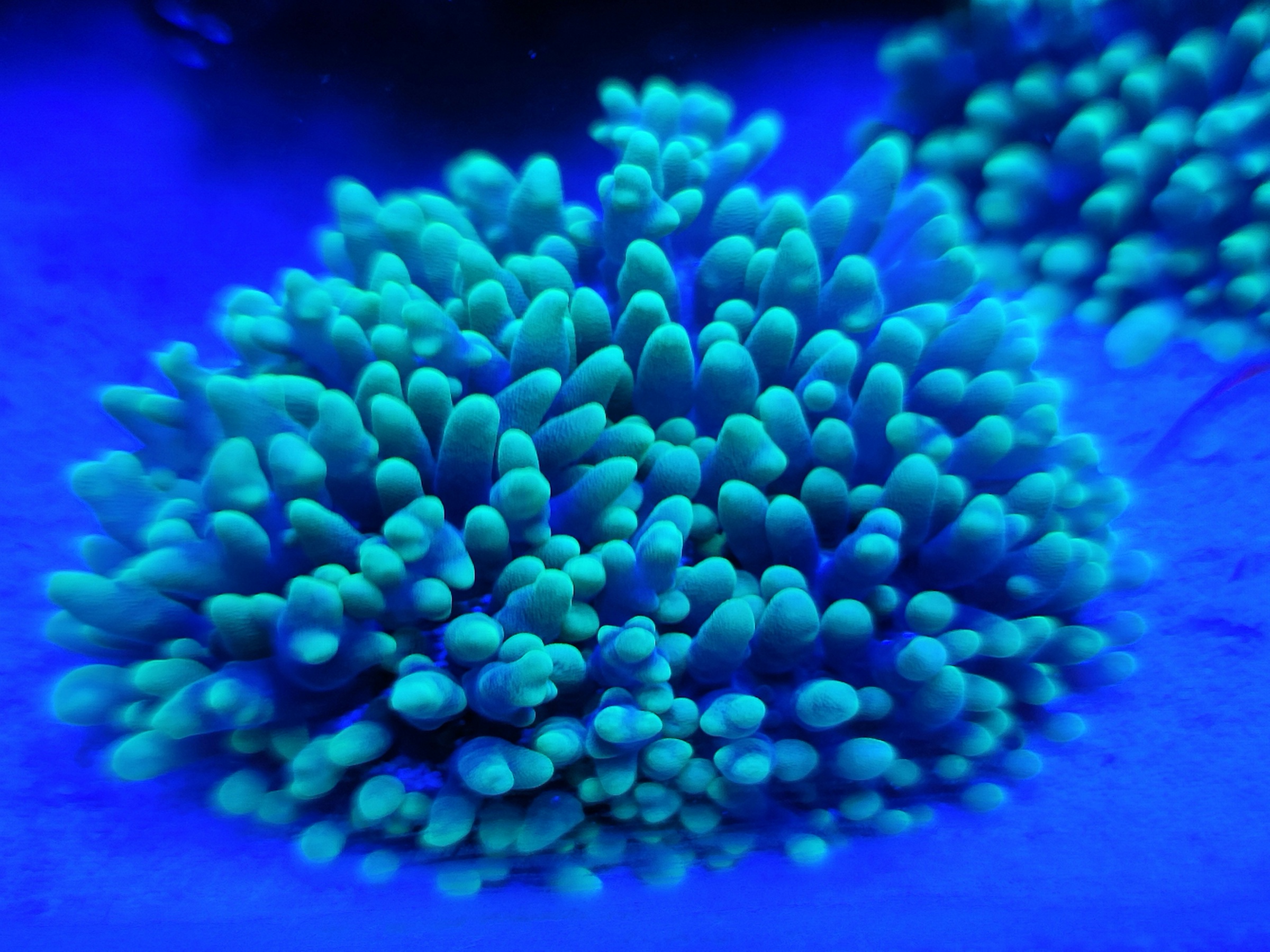 20210910_201329.jpg