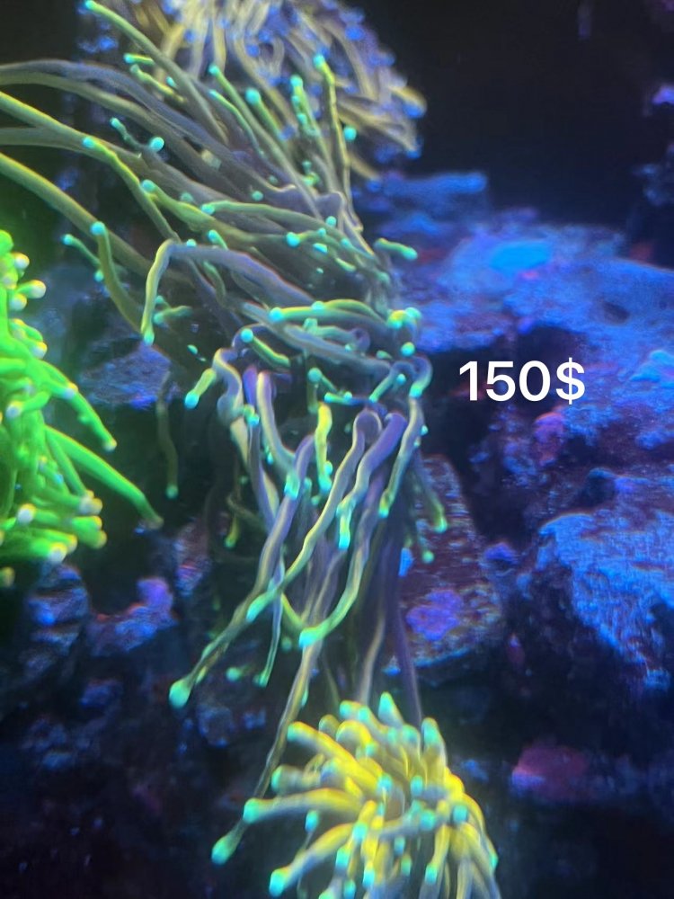 D1948C2B-83AD-418E-9E71-CB2E2164448C.jpeg