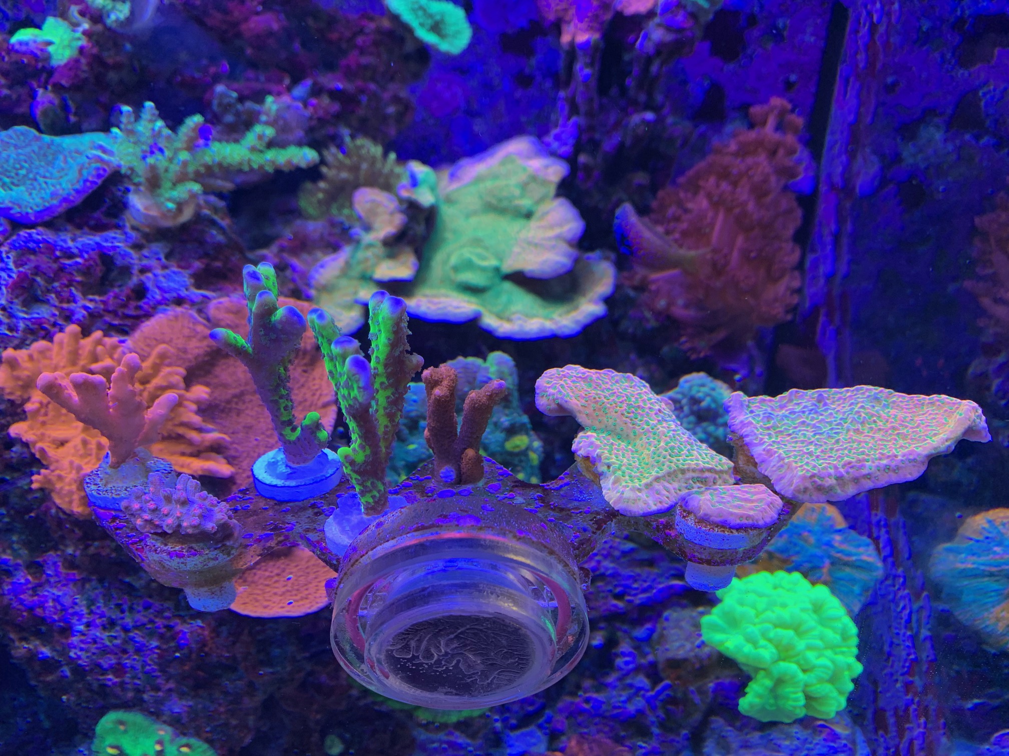 IMG_5823.jpg IMG_5823.jpg