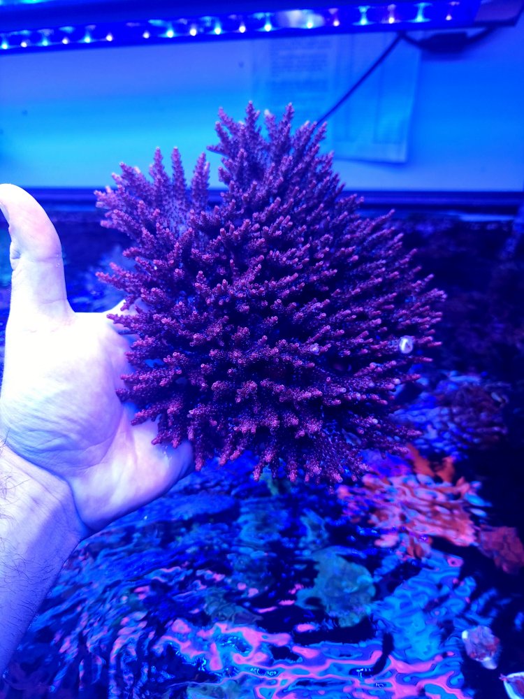 20221014_120449.jpg