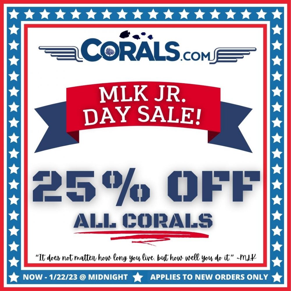 Copy of Martin Luther King Day Sale 2022.jpg