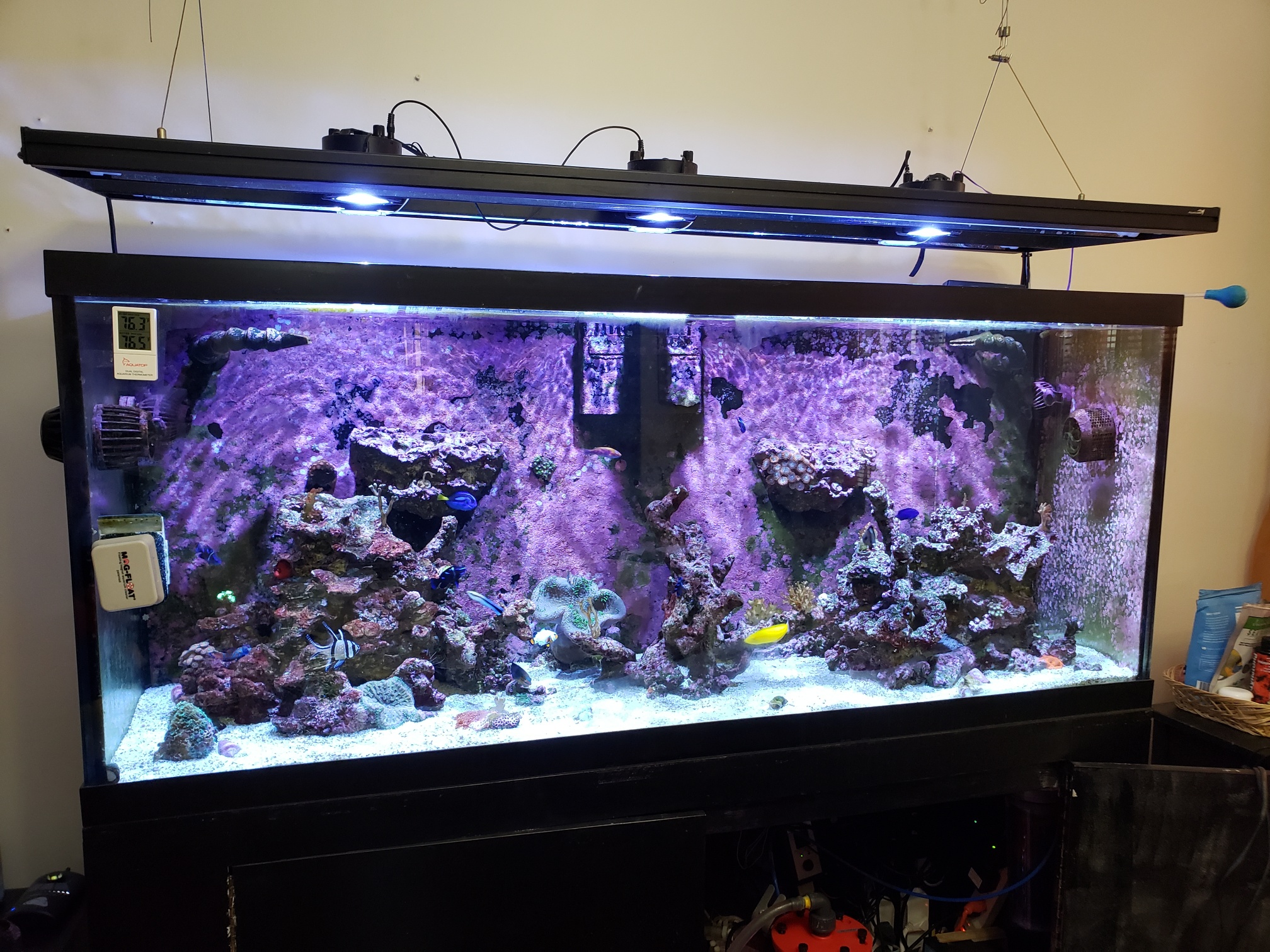 Tank - 125 Gls MarineLand + Stand 60