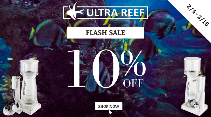 Ultra Reef Flash Sale Slider.png