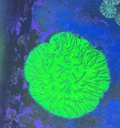 1745367506613.png 1745367506613.png