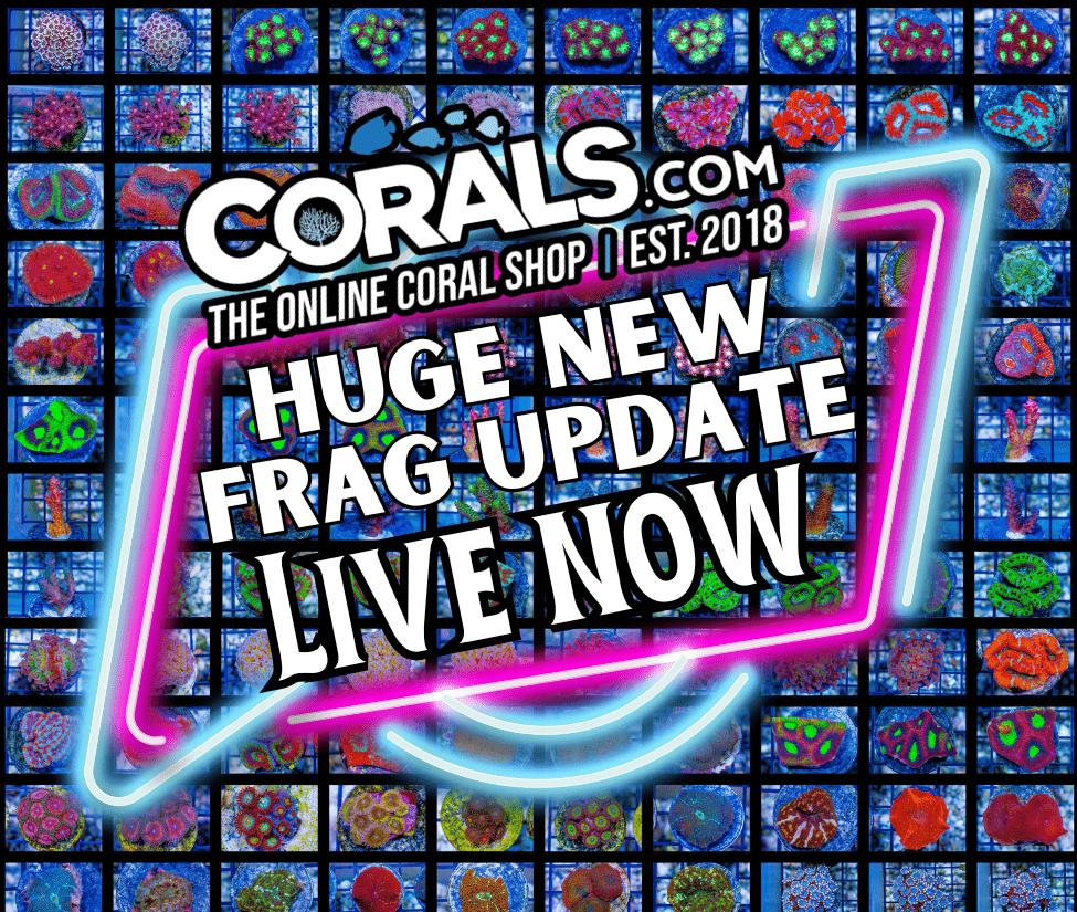 frag update.png