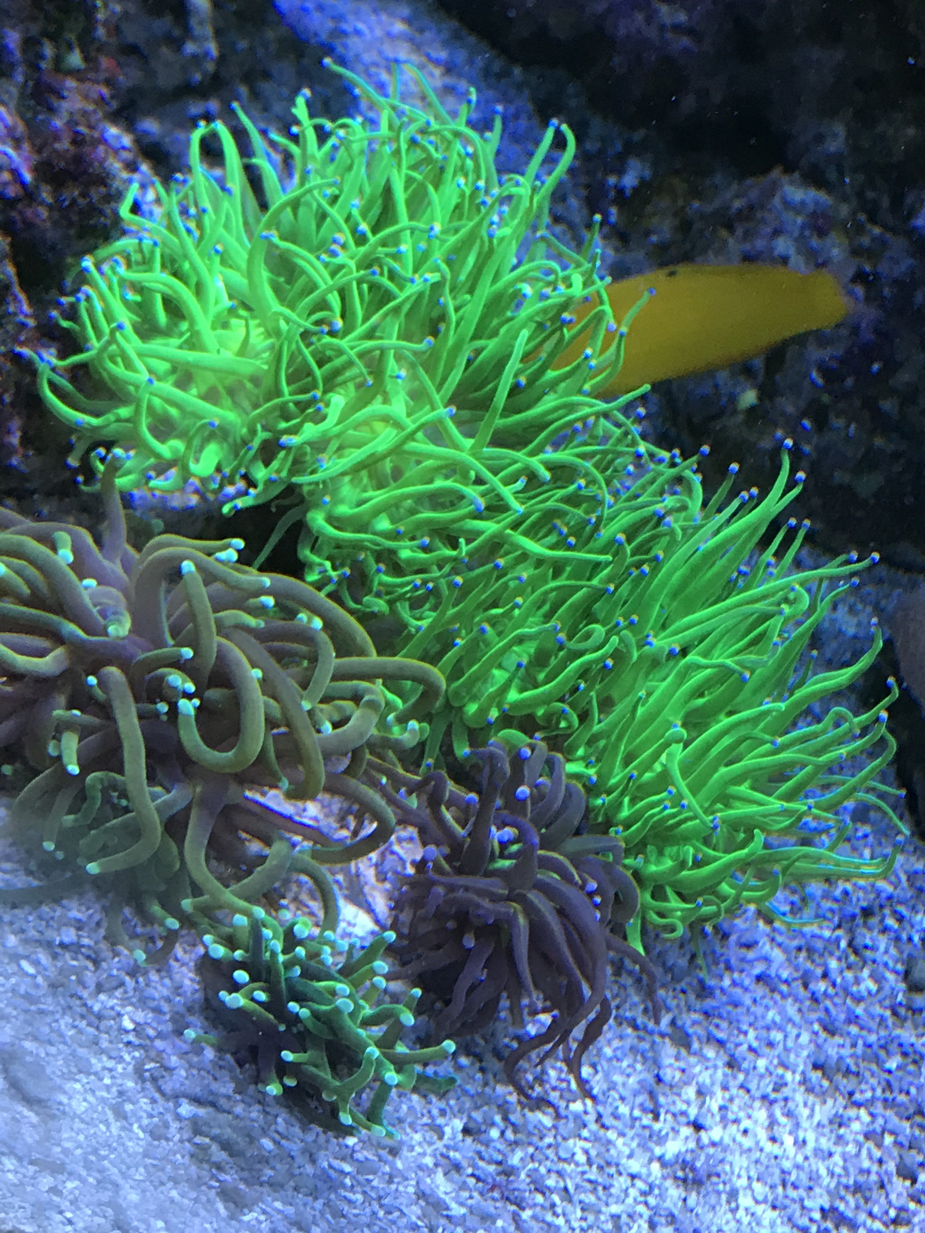 4F41241E-DEC9-44D0-B433-C9DB8A4416E6.jpeg