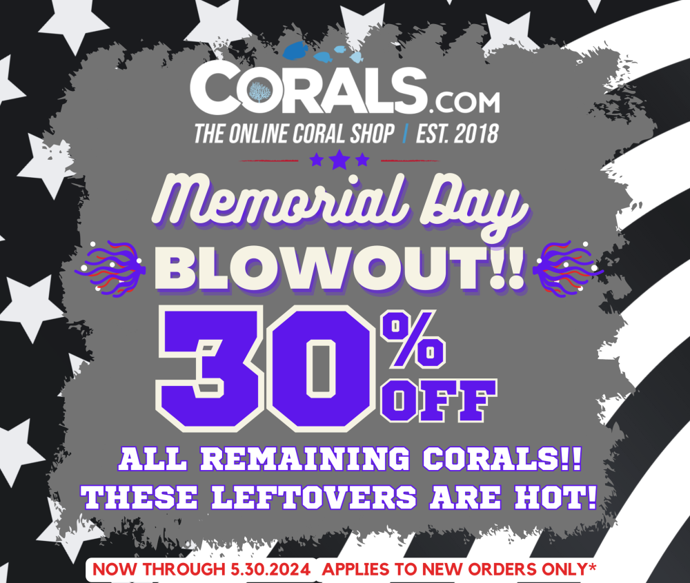 memorial blowout sale.png