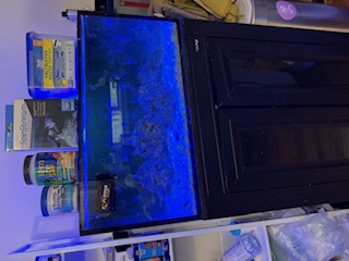 IMG_1276.jpeg