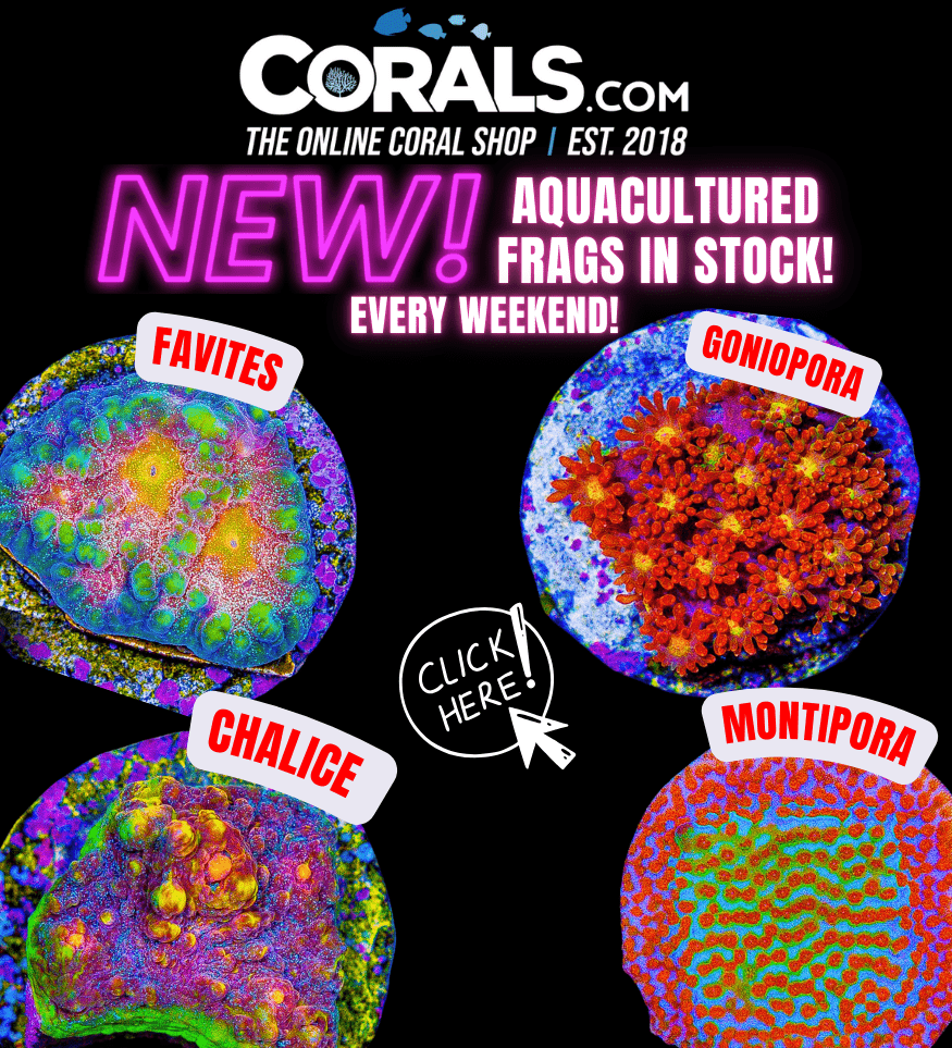 new aquaculture(9).png
