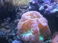 IMG_0040.jpg