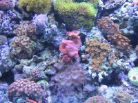 IMG_0043.jpg