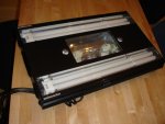 DSC02562.JPG