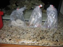 all frags in bags on counter.jpg