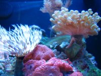 IMG_1361.JPG