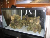 Tank Upgrade 005.jpg