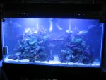 Tank Upgrade 020.jpg