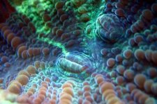 IMG_2313.JPG