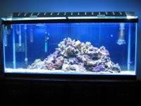 reef.jpg