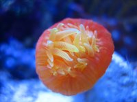 IMG_2390_1.JPG