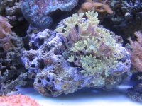 IMG_0042.jpg