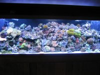 IMG_0060.jpg