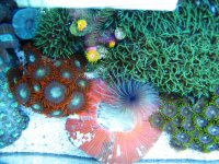 IMG_1816.JPG