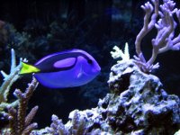 IMG_0046.JPG