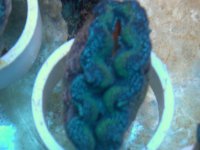DSCN2981.jpg