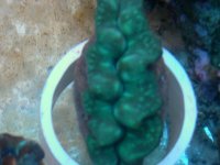 DSCN2982.jpg