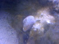 IMG-20121226-00167.jpg