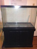 65 gallon 2.jpg