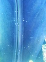 20130712_193947.jpg