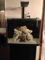 ImageUploadedByReefs1373744045.870803.jpg