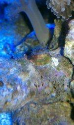 IMAG0095.jpg
