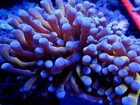IMG_0708.JPG