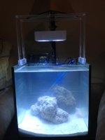 nano reef start up.jpg