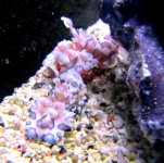 IMG_0733.JPG
