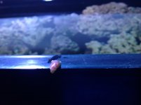 photo(4).jpg