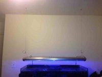 ImageUploadedByReefs1361032441.221139.jpg