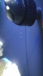 2013-09-04 17.36.49.jpg
