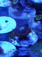 20130528_221929.jpg
