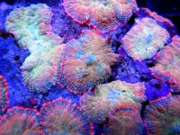 IMG_1663.JPG