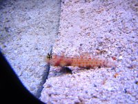 IMG_1720.JPG