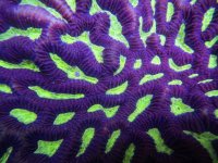 IMG_1816.JPG