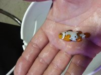 20130718_164100.jpg
