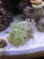 IMG_2709_2.jpg