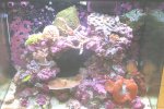 red sea 11.jpg