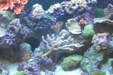 red sea 130 11.jpg