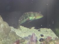 20131018_204501.jpg
