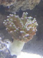 20130911_205547.jpg